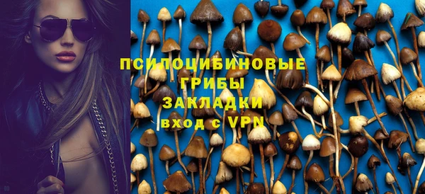 винт Алексеевка